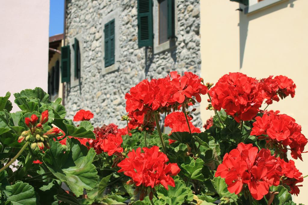 Gasthaus Ponte Del Vegnuti Fivizzano Exterior foto